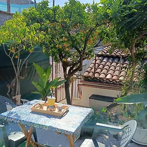 Sicily Garden House Casa vacanze